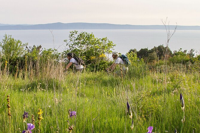 E-Bike Tour at Historical Villages of Makarska - Who should book this Makarska e-bike tour