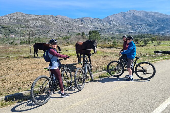 E-Bike Tour + Gourmet Lunch + Wine Tasting (Small Group) - Is the $226.88 price good value?