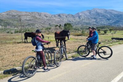 E-Bike Tour + Gourmet Snack + Wine Tasting (Small Group)