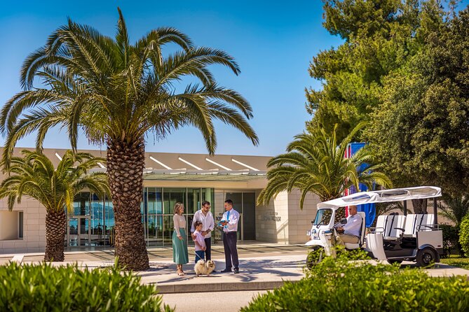 E-Tuk Tuk Tour in Dubrovnik - Weather, comfort, and practical details