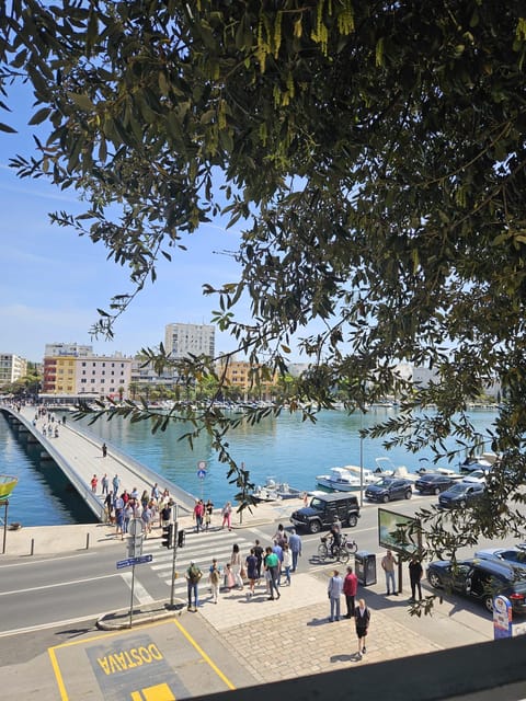 Eco tuk tuk Highlights of Zadar - The Sea Organ and the ride into the old town