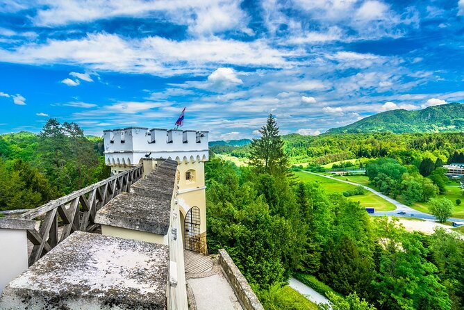 Fairytale Castle & Wine Tasting & Lunch - Vuglec Breg: five wines and a serious lunch