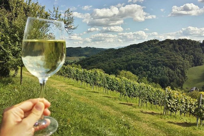 Fairytale Castle & Wine Tasting & Lunch - Who will enjoy this day most