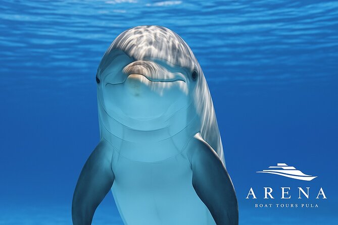 Fantastic DOLPHIN & SUNSET TOUR with dinner ( Pula-NP BRIJUNI ) - Leaving Pula Harbour at 6:00 pm