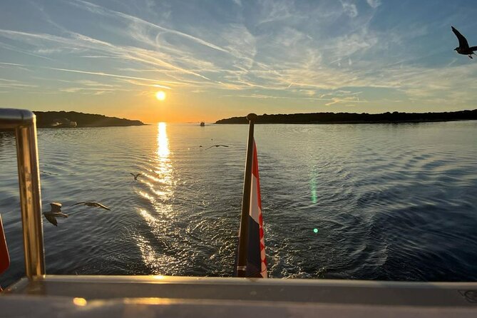 Fantastic DOLPHIN & SUNSET TOUR with dinner ( Pula-NP BRIJUNI ) - Veliki Brijun, Dino Park, and the old resort world