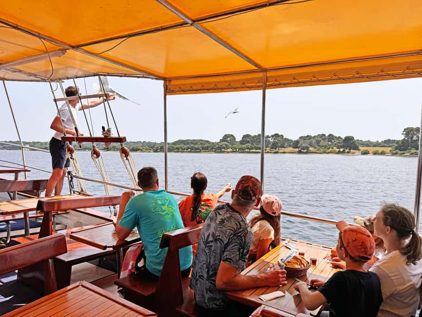 Fazana: Dolphin Finder in Brijuni islands Safari with Dinner - Waiting for bottlenose dolphins