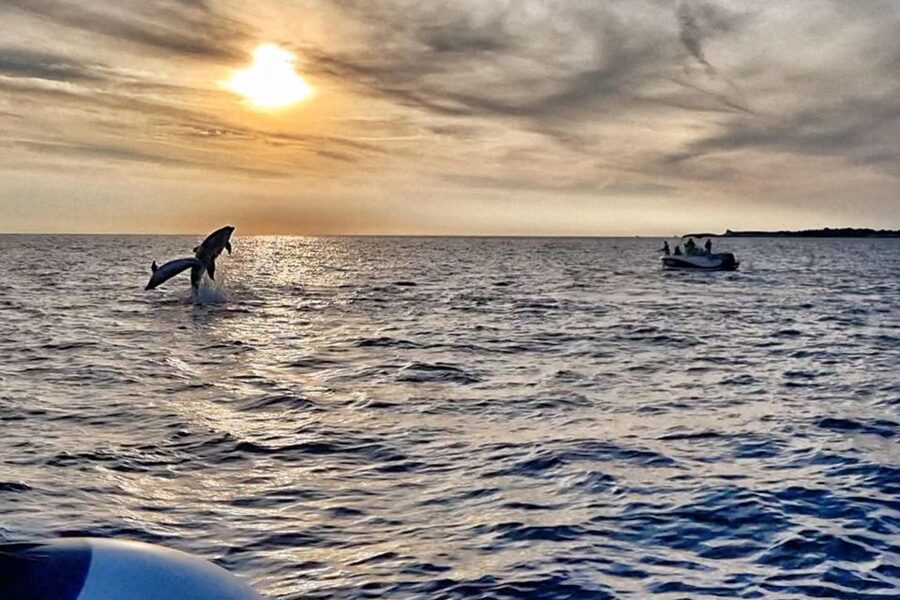 Fazana: Guided Dolphin Watching Sightseeing Cruise at Sunset - Leaving Fazana aboard Kristina