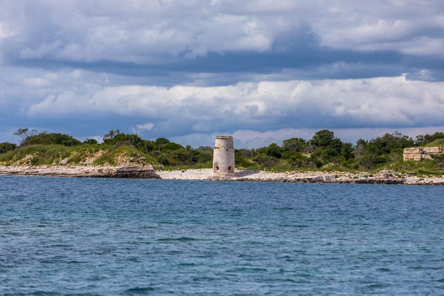 Fažana: Sail like a president with Brijuni Panorama - Dolphins, fish, and coastal wildlife