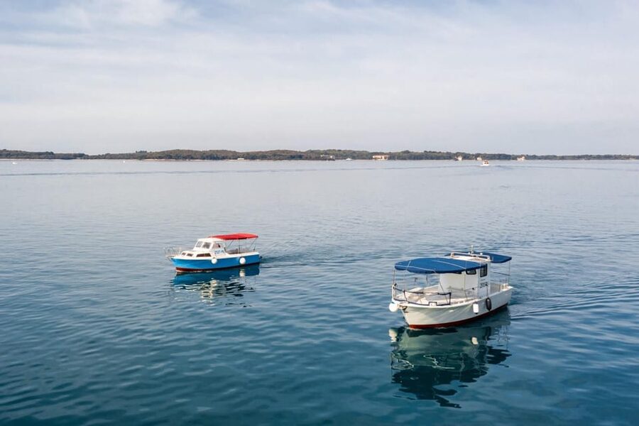 Fažana: Sail like a president with Brijuni Panorama - What the 105-minute route actually covers