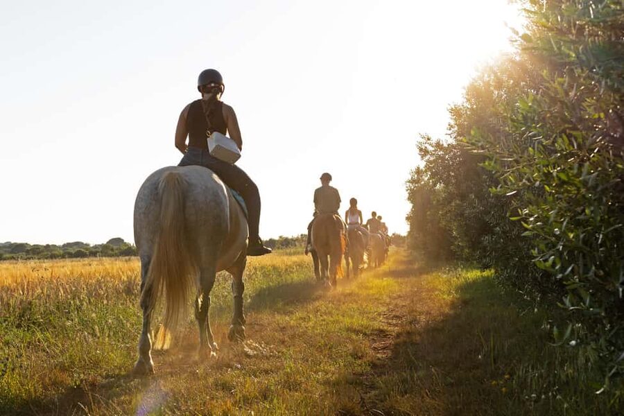 Fazana: Sunset 1-hour Horse Riding in Nature with Guide - A Sunset Ride Through Fažana’s Quiet Countryside