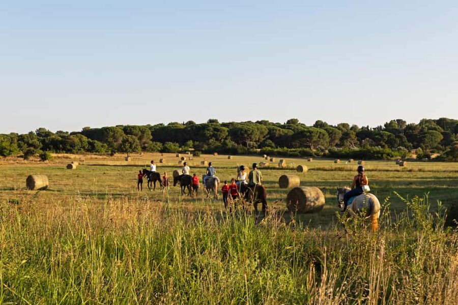 Fazana: Sunset 1-hour Horse Riding in Nature with Guide - Through the Pine Woods