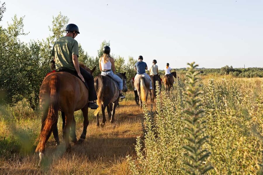 Fazana: Sunset 1-hour Horse Riding in Nature with Guide - Olive Groves and Rural Istria