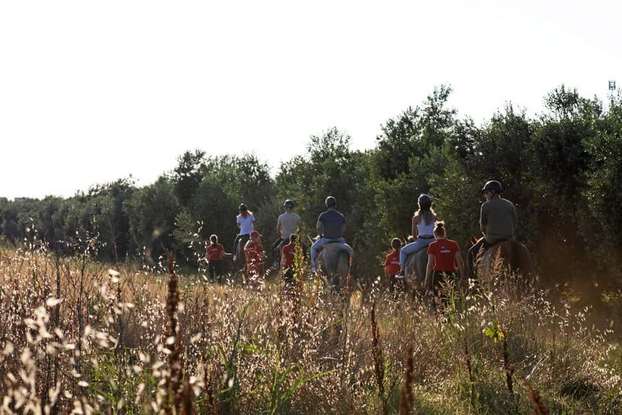 Fazana: Sunset 1-hour Horse Riding in Nature with Guide - The Photo Stop Before Returning