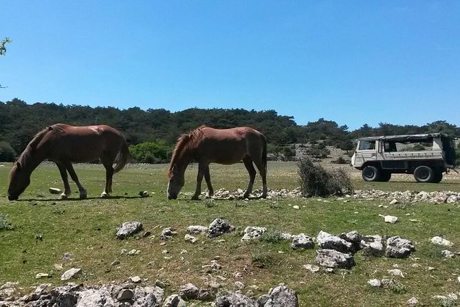 Feel and Taste island Brac with local experts - island adventure to remember - Why this Brač tour feels different