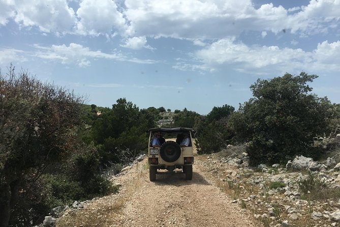 Feel and Taste island Brac with local experts - island adventure to remember - Zlatni Rat and time by the water