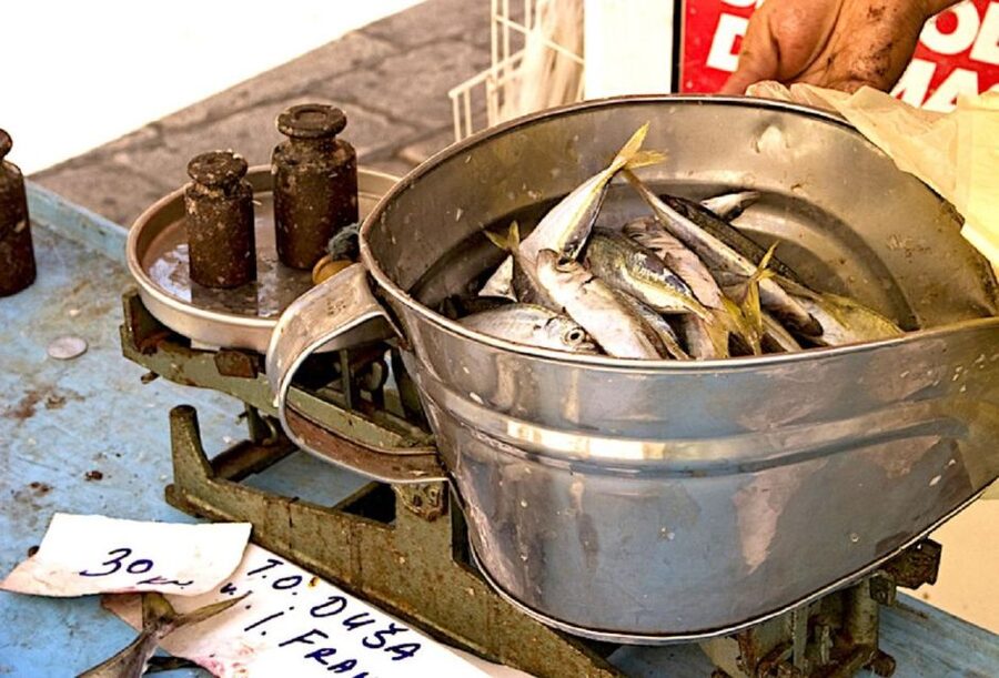 Food Tour in Split ( Small Group) - The Split Fish Market