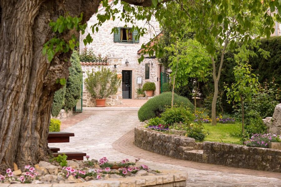 From Biograd: Wine and Olive Oil Tasting in Ražnjevića Dvori - Should you book Ražnjevića Dvori?