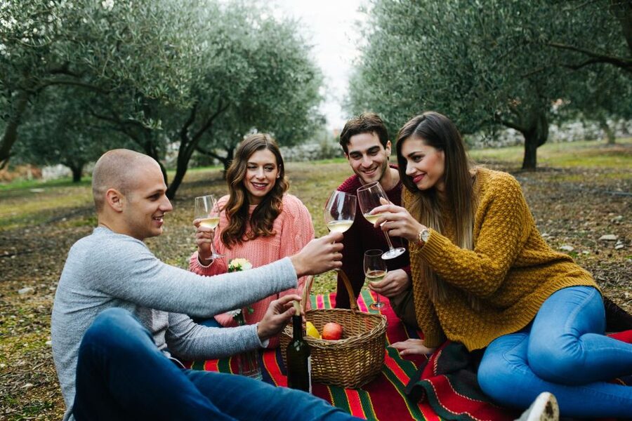 From Biograd: Wine and Olive Oil Tasting in Ražnjevića Dvori - A small-group feel with an easy schedule