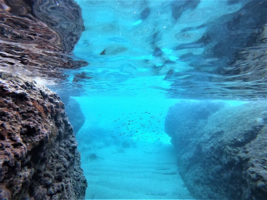 From Dubrovnik: 4-hour Elafiti Islands Private Boat Tour - Who will enjoy this Elafiti tour most