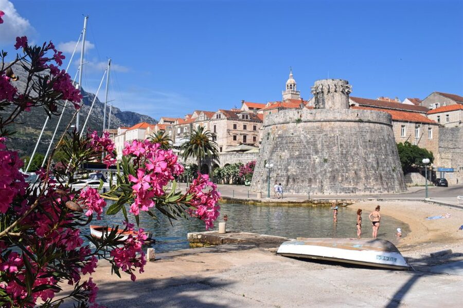From Dubrovnik: Guided Tour of Pelješac & Korčula - What the Pelješac wine stop is really like