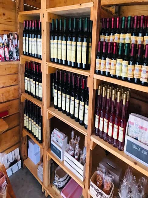 From Dubrovnik: Half-Day Wine Tasting and Cavtat City Tour - A wine afternoon with a family at the table
