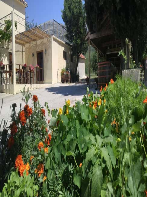 From Dubrovnik: Half-Day Wine Tasting and Cavtat City Tour - Leaving Dubrovnik for Konavle Valley