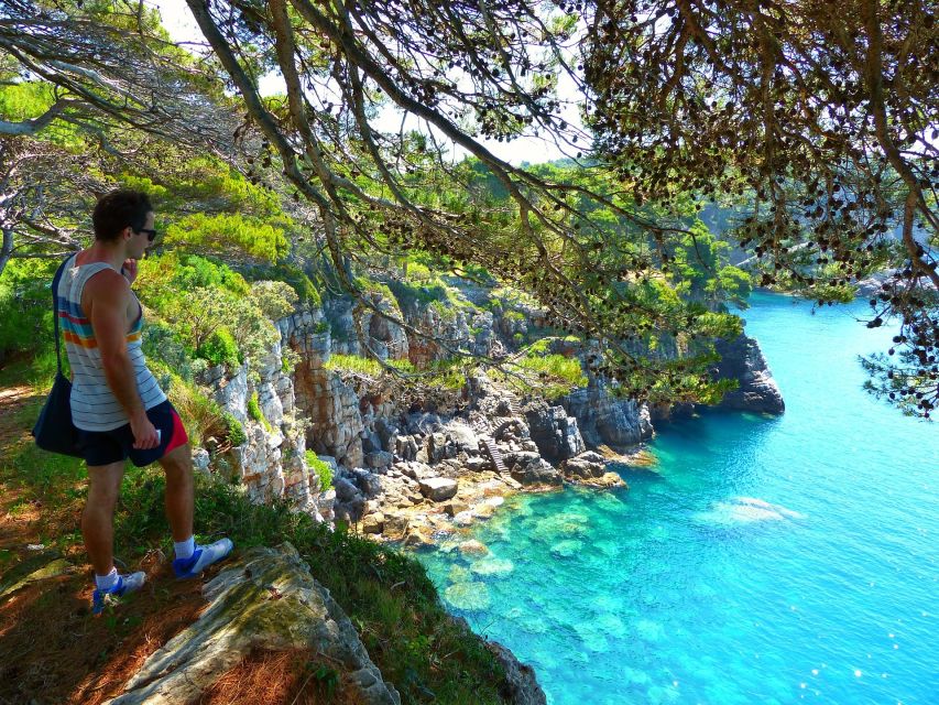 From Dubrovnik: Hiking & Swimming on Koločep Island Day Trip - What $104 buys you