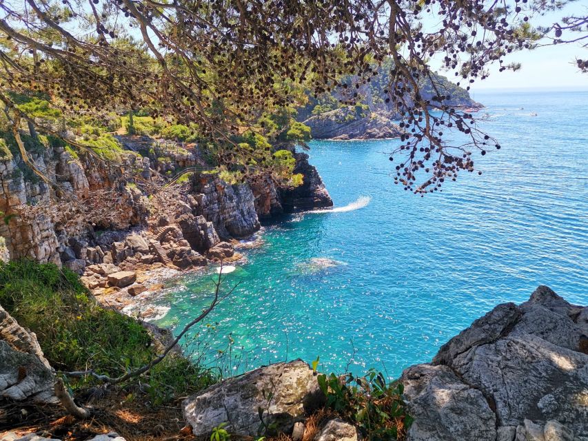 From Dubrovnik: Hiking & Swimming on Koločep Island Day Trip - Who will enjoy this most