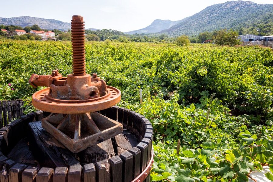 From Dubrovnik: Island of Korčula with wine tasting - Ston’s wall, salt ponds, and seafood