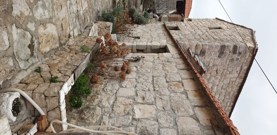 From Dubrovnik: Majkovi Village and Ston Private Food Tour - What the Private Format Adds