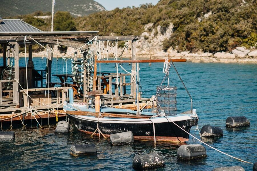From Dubrovnik: Mali Ston Oyster Paradise Tour with Transfer - Should you book the Mali Ston oyster tour?