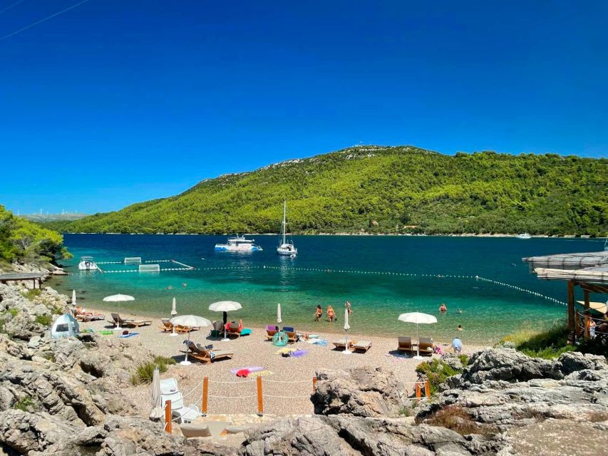 From Dubrovnik: Mljet National Park & Elaphiti Islands Trip - Key things to know before you book