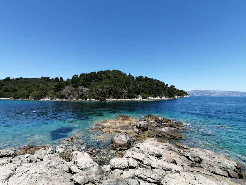 From Dubrovnik: Mljet National Park & Elaphiti Islands Trip - Moon Beach and the quieter side of Mljet