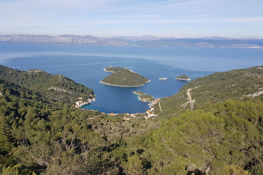 From Dubrovnik: Pvt Speedboat Cruise to Mljet&Sipanska Luka - Why this private Mljet cruise works well