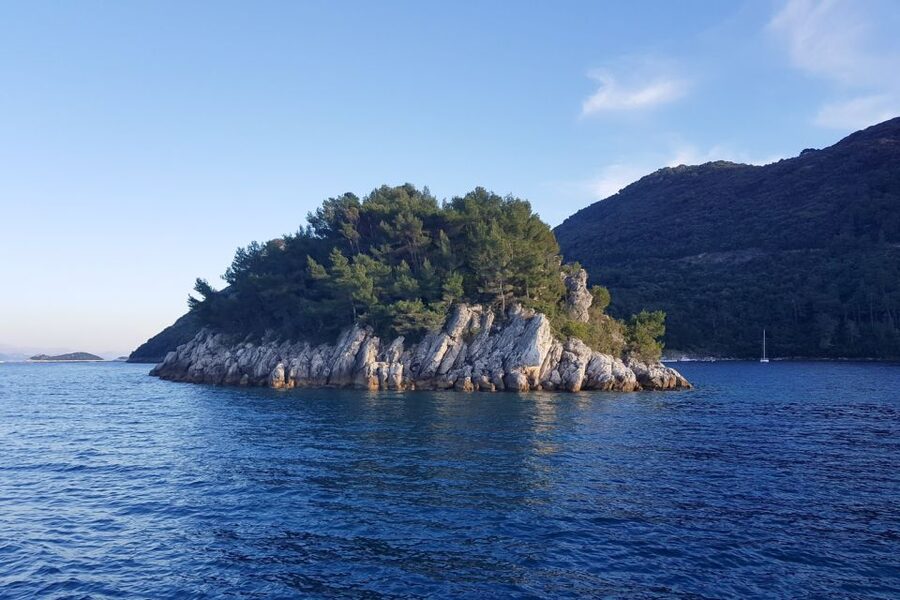 From Dubrovnik: Pvt Speedboat Cruise to Mljet&Sipanska Luka - Snorkeling, cliff views, and time on the water