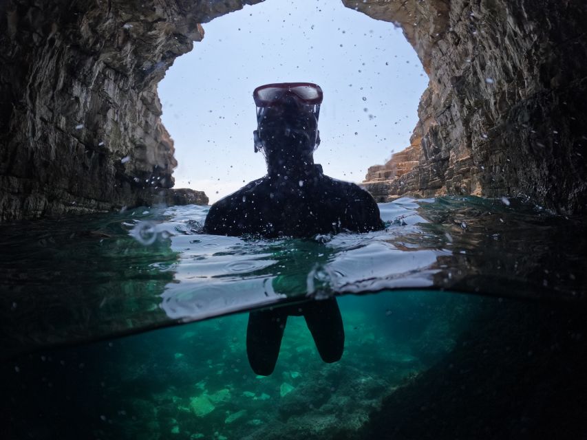 From Fazana: Dolphin watching and snorkeling in Blue Cave - What to bring and how to judge the value