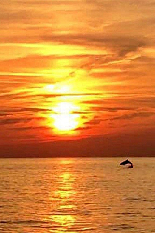 From Fazana: Dolphin watching sightseeing cruise at sunset - Watching Brijuni National Park from the water