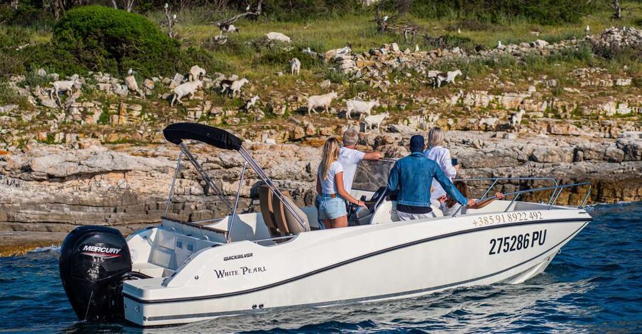 From Fažana: Private boat tour of Brijuni Islands - Choosing between Sv. Jerolim and Veliki Brijun