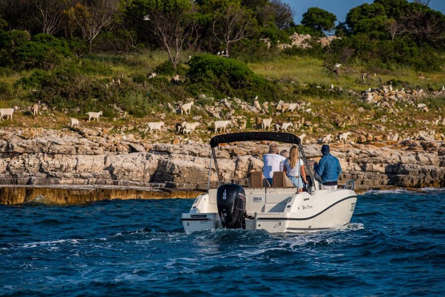 From Fažana: Private boat tour of Brijuni Islands - Is $294 good value for six people?