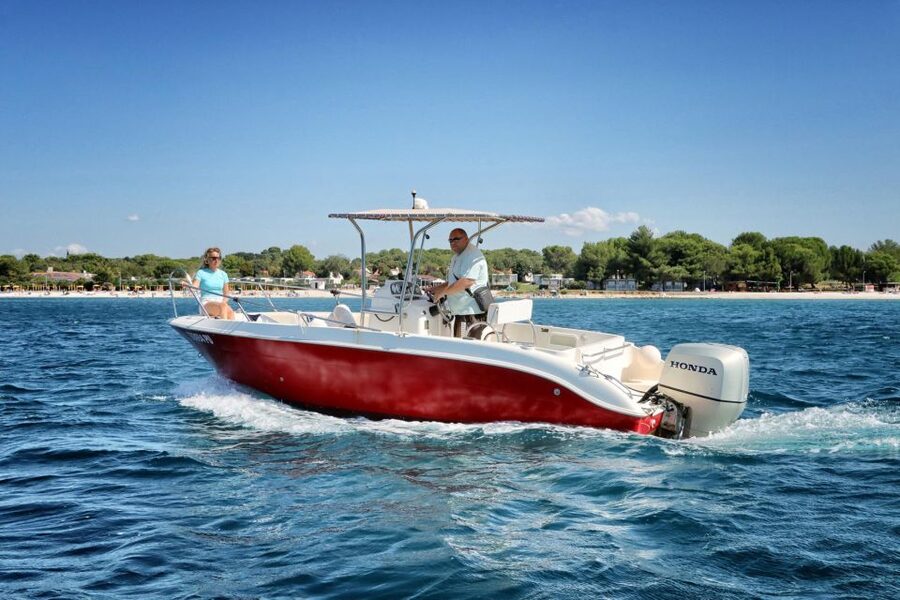 From Fazana: Private sunset dolphin tour - Rules that protect the animals and the ride
