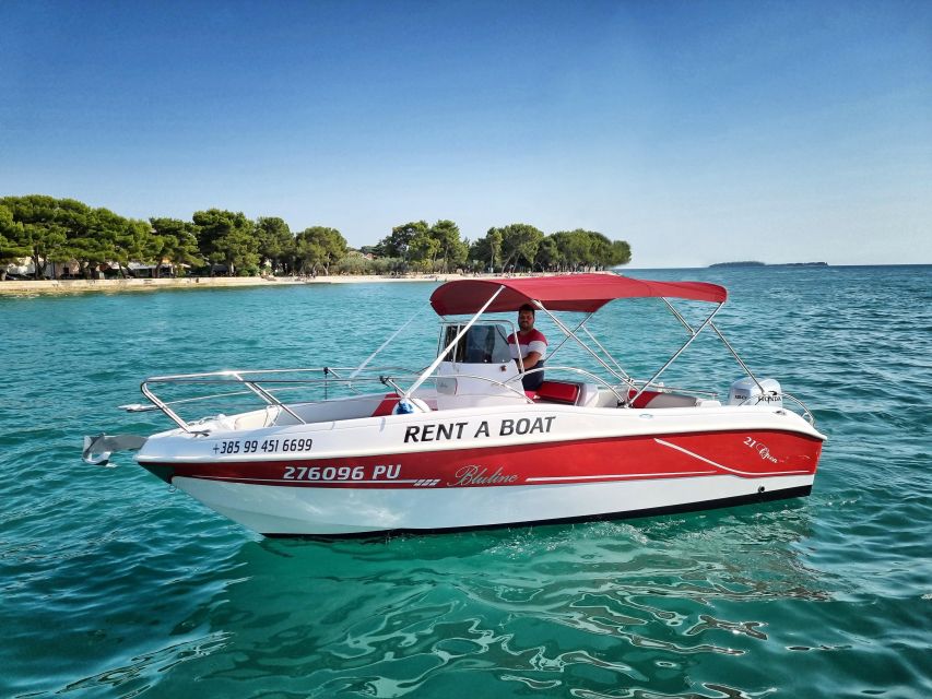 From Fazana: Private sunset dolphin tour - Booking details worth knowing