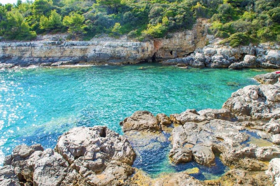 From Fažana: snorkeling at sea cave and Brijuni Island - Guides, comfort, and the private-group advantage