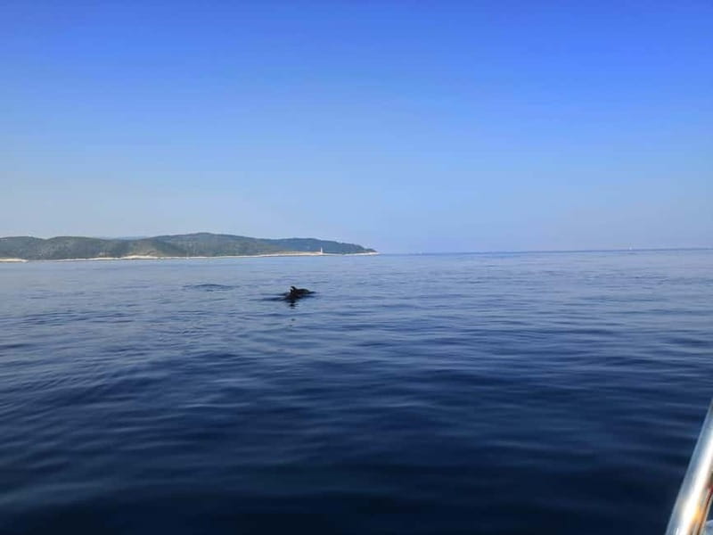 From Hvar: Unforgetable Tour to the Island Vis and Blue Cave - Zelena špilja, or the Green Cave