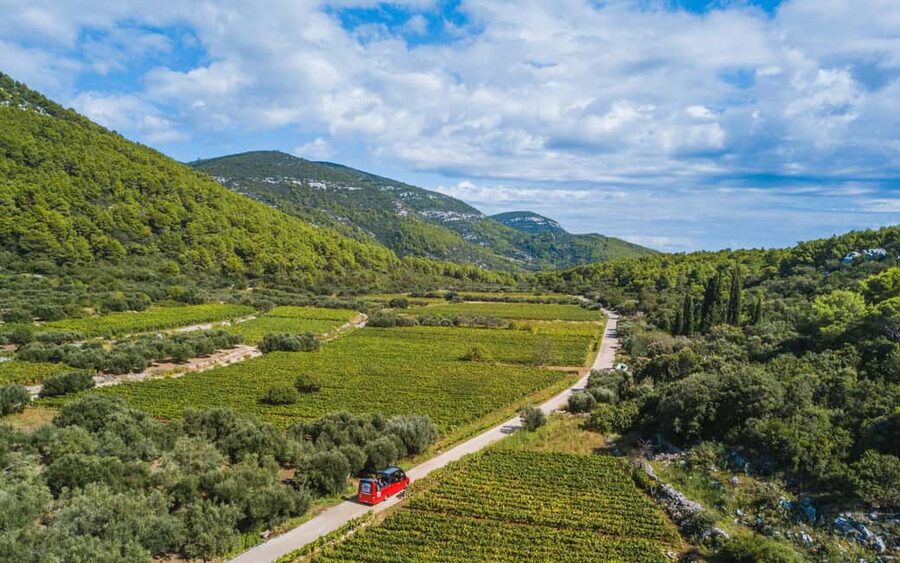 From Korcula Town: Local Wine & Sightseeing Half-Day Tour - Key points to know before booking