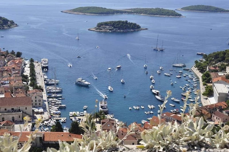 From Milna or Supetar: Magical Blue Cave Island Hopping - Key points at a glance