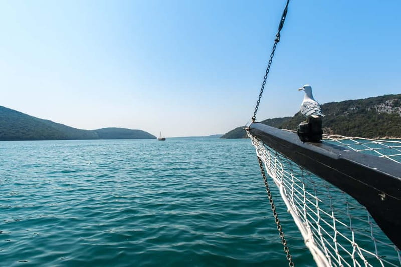 From Poreč: Boat Day Trip to Rovinj with Fish Lunch - Key points to know before booking