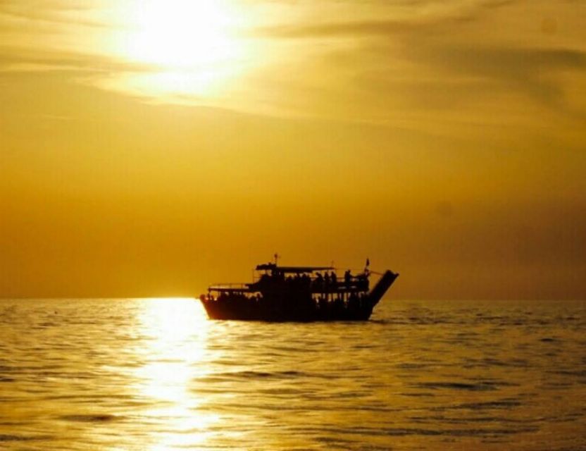 From Poreč: Evening Dolphin Cruise with Welcome Drink - Key points to know before you book