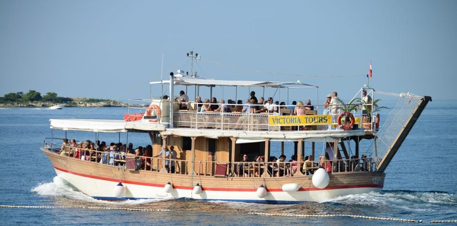 From Poreč: Evening Dolphin Cruise with Welcome Drink - Weather, comfort, and access