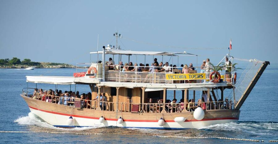 From Poreč: Evening Dolphin Cruise with Welcome Drink - Should you book the Poreč dolphin cruise?