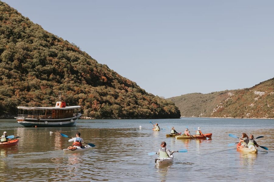 From Poreč: Lim Bay Sea Kayaking Day Trip - Oyster farms and the character of the bay